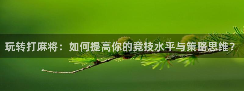 新宝gg―创造奇迹登录平台：玩转打麻将：如何提高你的竞技水平