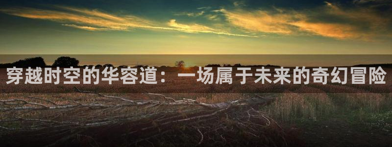 新宝gg创造奇迹平台怎么样：穿越时空的华容道：一场属于未来的