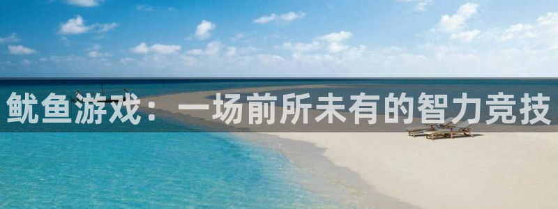 新宝gg?创造奇迹：鱿鱼游戏：一场前所未有的智力竞技